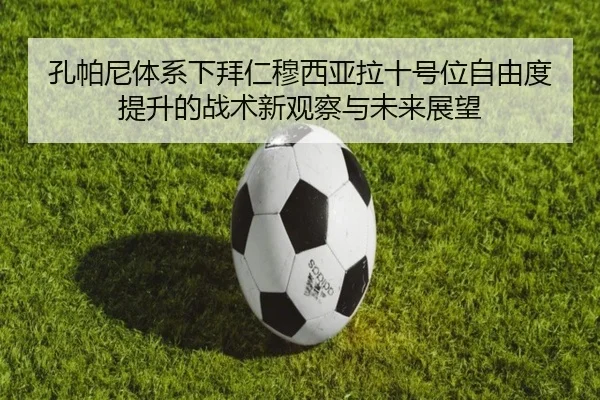 img_1781718786247_474_1_685.jpg