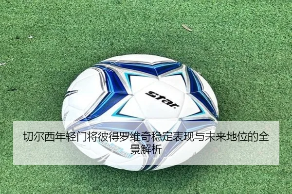 切尔西年轻门将彼得罗维奇稳定表现与未来地位的全景解析